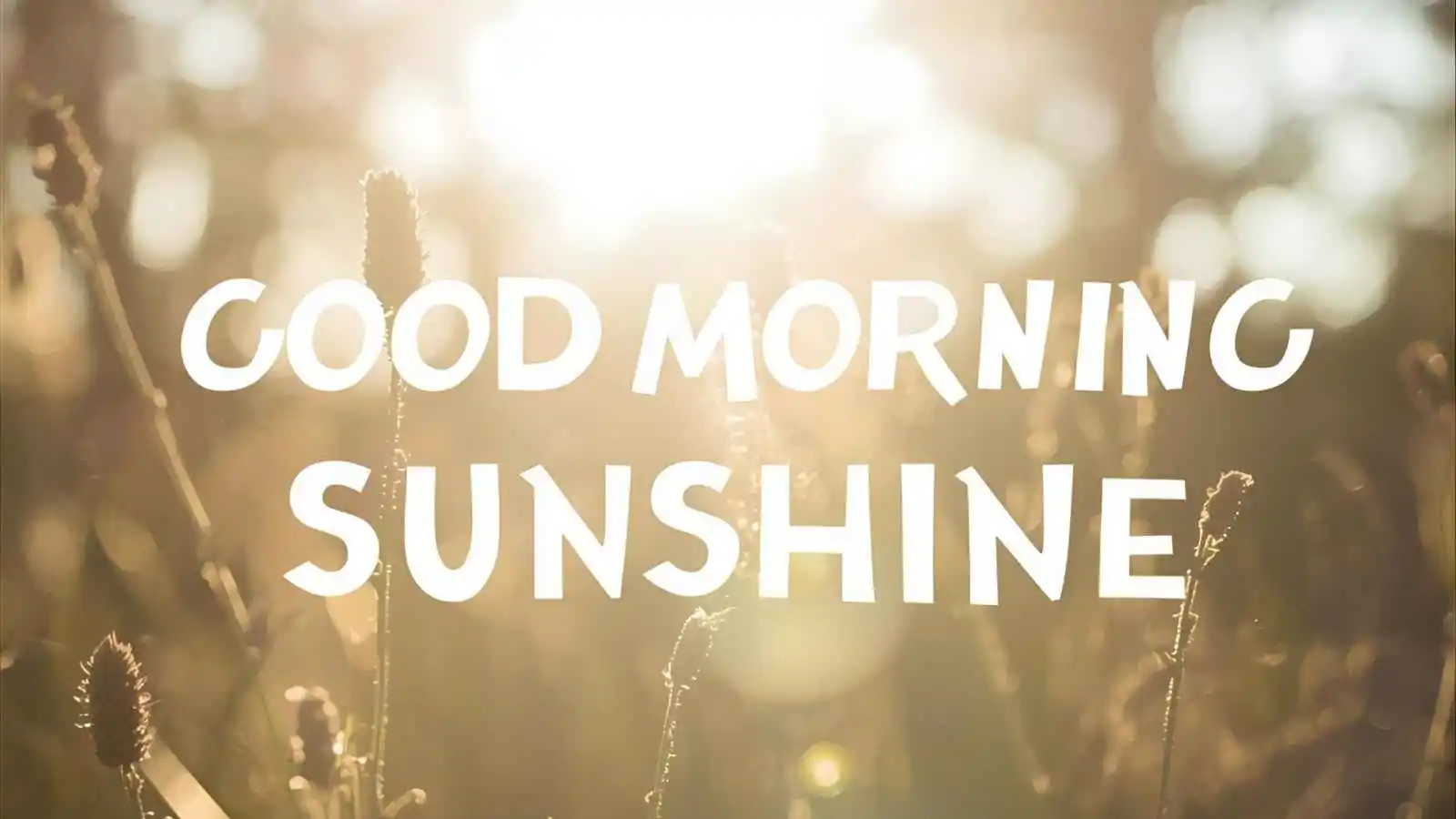 A beautiful sunrise with the text Good Morning Sunshine written on it, symbolizing a bright and fresh start.